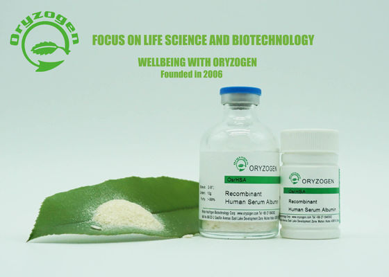 La piel de la albúmina de Oryzogen de la pureza del 99% cuida la proteína recombinante humana acelera metabolismo