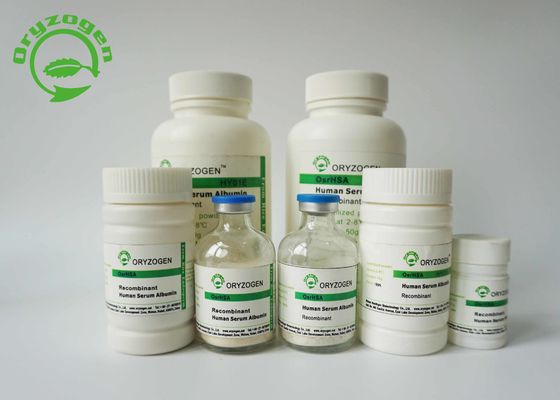 La albúmina de suero humana recombinante de la pureza mayor de 99% TIENE M/P 65℃ para el cultivo celular primario