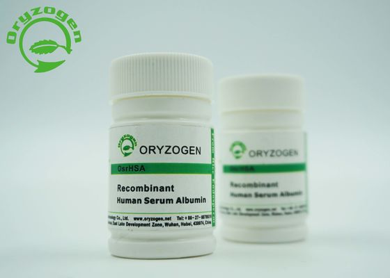 RHSA humano recombinante libre animal de la albúmina de suero del grado del excipiente para el excipiente vaccíneo de la investigación
