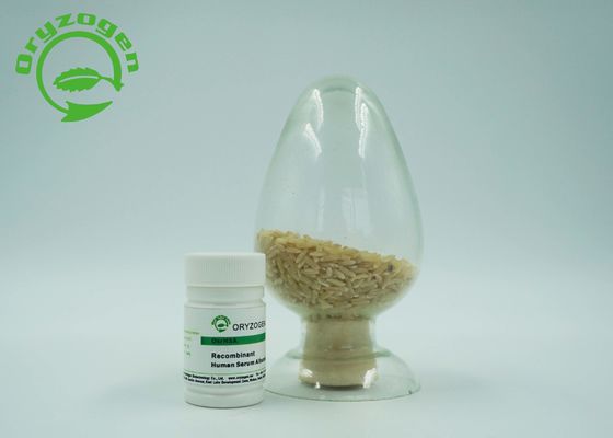 Recombinante Sativa del Oryza ha liofilizado la proteína humana total molecular de la albúmina del polvo 66.554KD