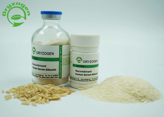 El ISO certificó recombinante TIENE polvo liofilizado beige ligero