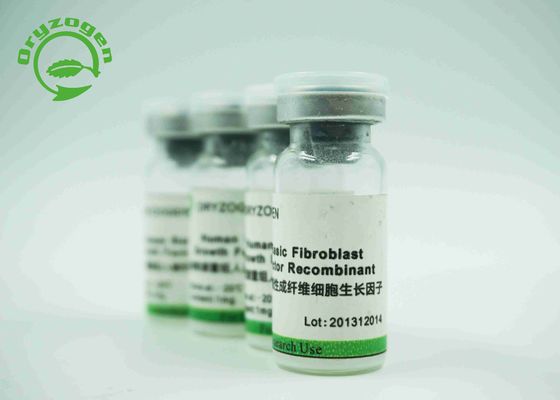 Bioactividad epidérmica recombinante libre animal de las unidades/magnesio del × 10^6 del rEGF 1 del factor de crecimiento