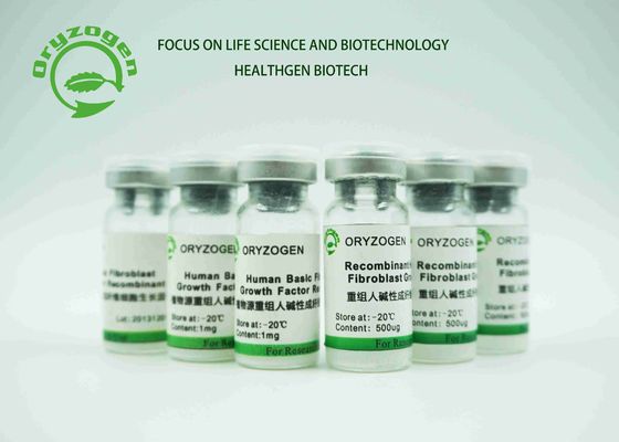 La reparación liofilizada blanca del factor de crecimiento del bFGF del polvo dañó a las células epiteliales 17KD FGF2 humano