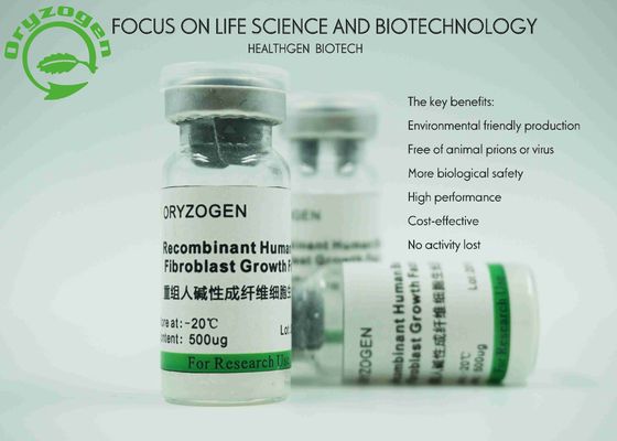 Peso molecular recombinante del factor de crecimiento del bFGF del origen del grano del arroz 17KD
