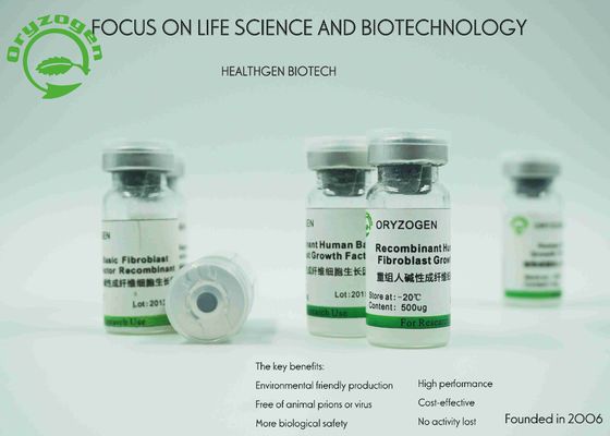 El específico del endospermo del arroz expresó el bFGF del factor de crecimiento de los fibroblastos sin ningún riesgo de los contaminantes