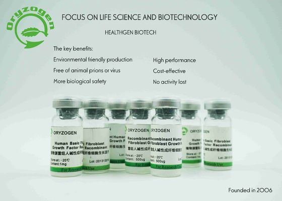 La planta 17KD derivó el factor de crecimiento del bFGF básico para el medio sin suero