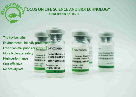 El ISO certificó origen Sativa del Oryza del factor de crecimiento del rbFGF