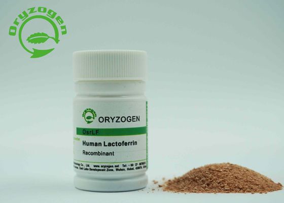 RhLF humano recombinante derivado planta de la lactoferrina de Lacto Ferrin con la endotoxina menos de 20 UE/magnesio