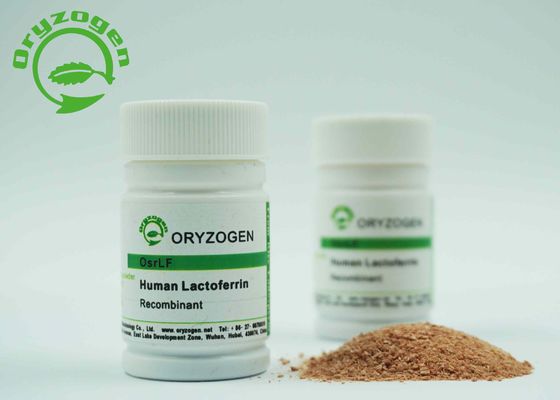 ℃ flojo rojizo Storaged del polvo 2-8 de la lactoferrina recombinante libre componente animal
