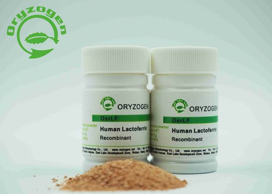 Polvo liofilizado lactoferrina humana recombinante