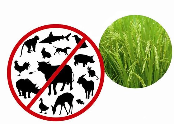 La proteína recombinante ha purificado de la planta con la endotoxina animal no- del ingrediente menos 0.125EU/ug