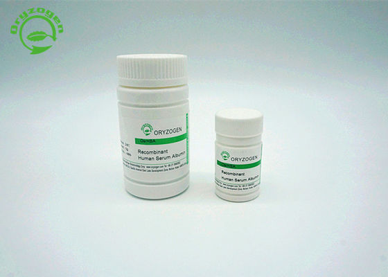 La albúmina de suero humana recombinante TIENE es estructural y bioquímico equivalente al pHSA