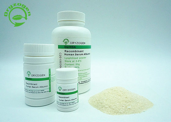 Recombinante TIENE con el blanco para encender el polvo liofilizado beige TIENE pureza elevada