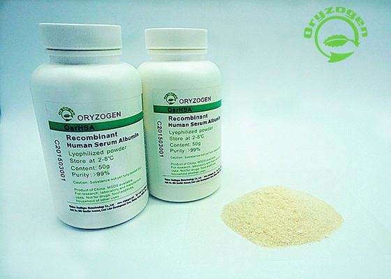La pureza del 99% recombinante TIENE rHSA 66.5kD para los reactivo biológicos industriales