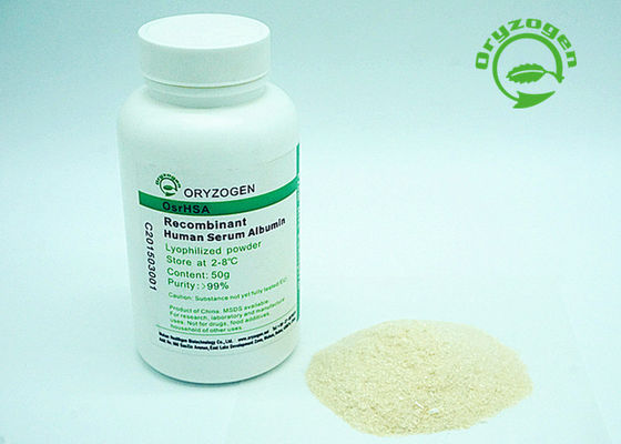 La albúmina de suero recombinante del control de calidad estricto TIENE blanco para encender el polvo liofilizado beige