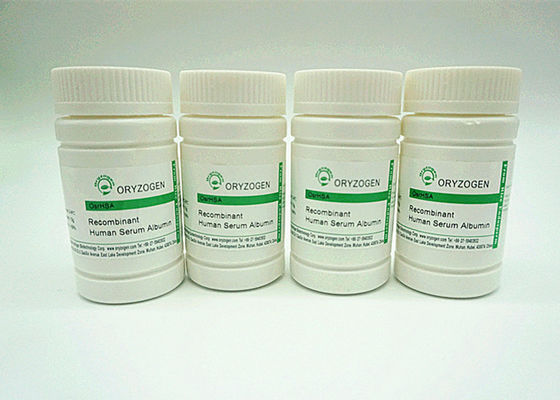 La pureza del 99% recombinante ha derivado del arroz la misma secuencia que el plasma TIENE