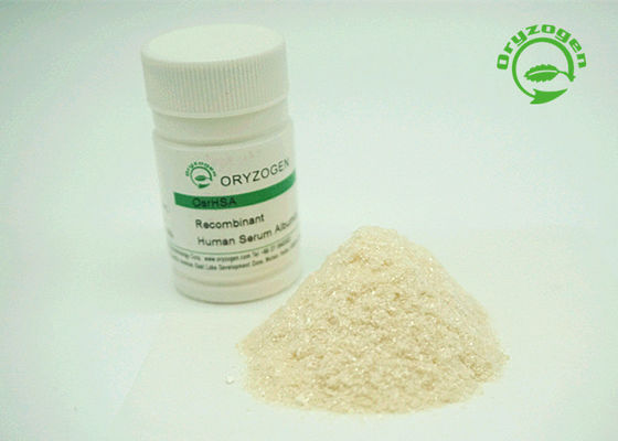 La albúmina de suero recombinante de la pureza más de 99% TIENE apagado blanco para encender el polvo beige del color