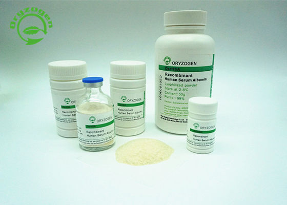 La albúmina de suero recombinante de la pureza más de 99% TIENE apagado blanco para encender el polvo beige del color