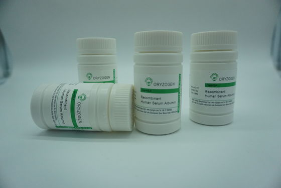 Recombinante derivada planta TIENE OsrHSA exhibe la misma inmunogeneticidad como pHSA