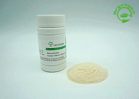 La albúmina de suero recombinante humana TIENE blanco para encender el polvo liofilizado beige