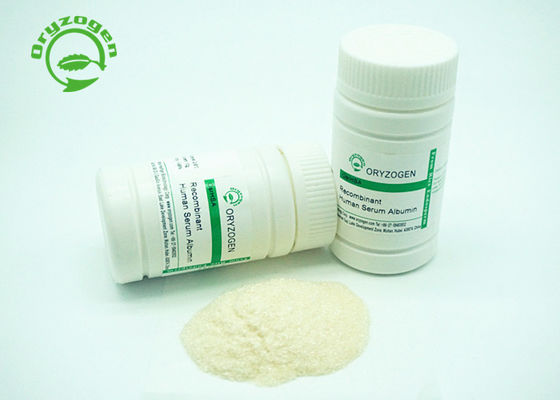 66.5kD recombinante TIENE tiene 585 aminoácidos es componente animal libre
