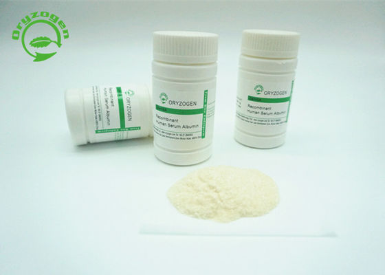 Oryzogen recombinante TIENE de grano del arroz tiene buena consistencia 70024-90-7 del lote