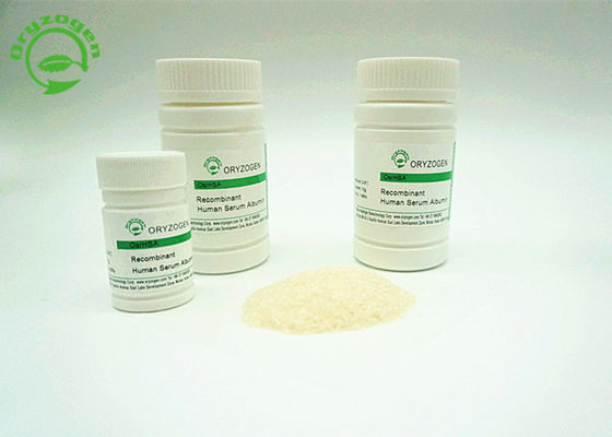 El ISO certificó la albúmina de suero recombinante ha derivado del arroz tiene pureza elevada