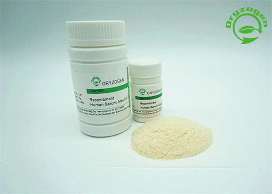 Peso molecular recombinante de la albúmina 65KD del polvo de OsrHSA de la pureza elevada