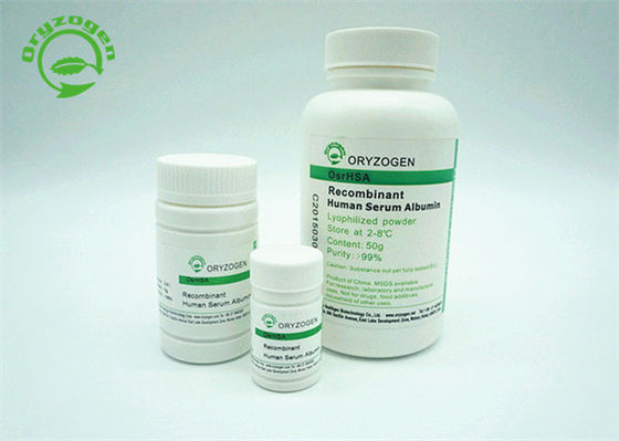 Polvo grisáceo de la albúmina humana recombinante del certificado del ISO obediente con el GMP