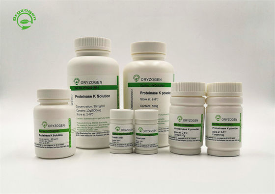 Alto polvo de la proteinasa K de la bioactividad para la purificación de la DNA y del ARN