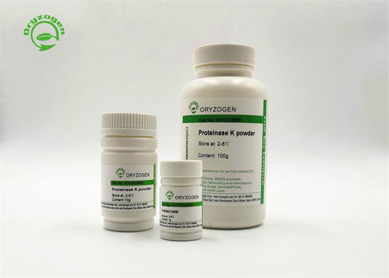La proteinasa recombinante K pulveriza el tamaño 100g de la proteinasa k de la pureza elevada del grado de la biología molecular