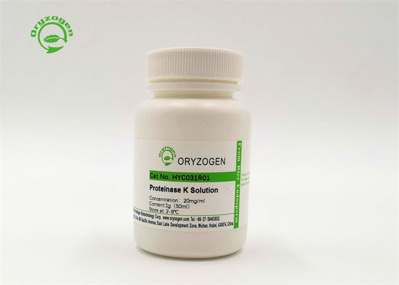 Grado de la biología molecular de la proteinasa K Cas Number 39450-01-6 de ProK del fabricante directo