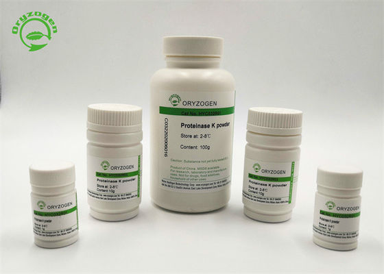 La proteinasa K de CAS 39450-01-6 liofilizada pulveriza el rProK quita la ADNasa y la ARNasa