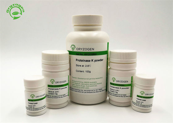 Proteinasa recombinante K de la alta bioactividad para la extracción Genomic de la DNA