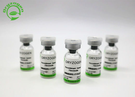 Agente de capa In Cell Culture Fibronectin recombinante del polvo liofilizado blanco OsrhFN
