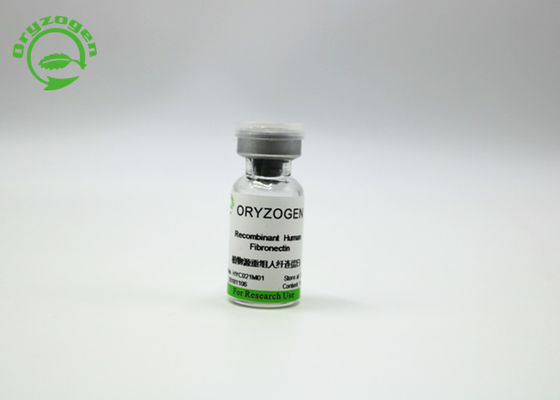 Oryzogen Fibronectin recombinante aumenta el funcionamiento 206kD del cultivo celular