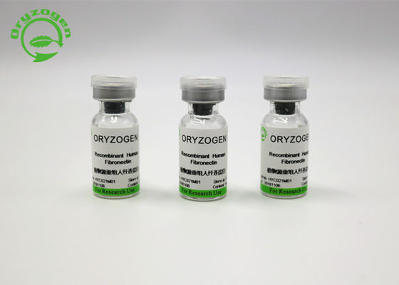 Pureza elevada libre componente animal Fibronectin recombinante FN del Oryza Sativa