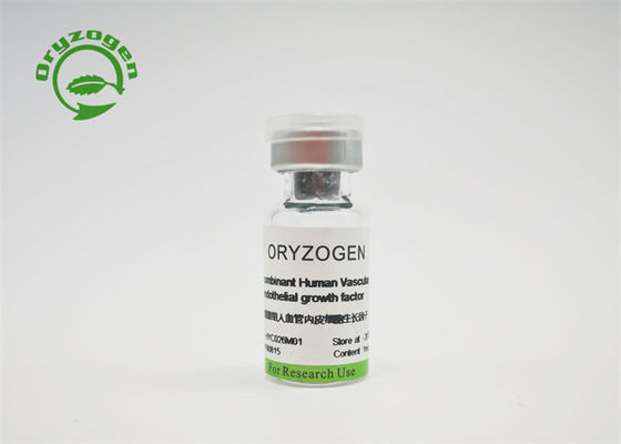 VEGF recombinante libre componente animal para el cultivo celular
