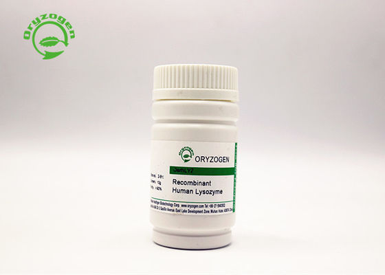 Polvo recombinante de la lisozima de la pureza elevada para los usos antimicrobianos 9001-63-2