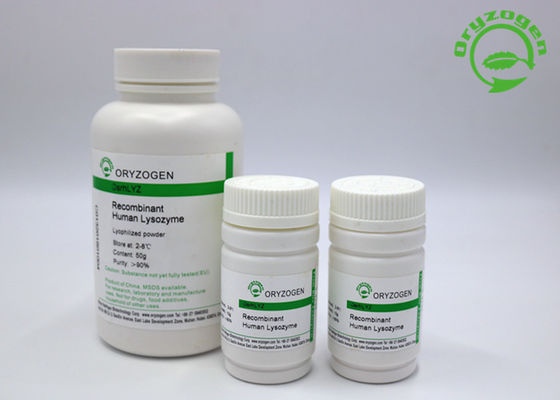 La lisozima recombinante Lyz del tratamiento de la diarrea liofilizó el polvo 50g