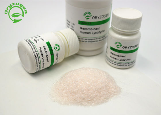La lisozima recombinante Lyz del tratamiento de la diarrea liofilizó el polvo 50g
