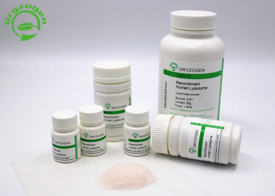 El polvo recombinante de la lisozima de Oryzogen de la plataforma del arroz abulta fuente CAS No 9001-63-2