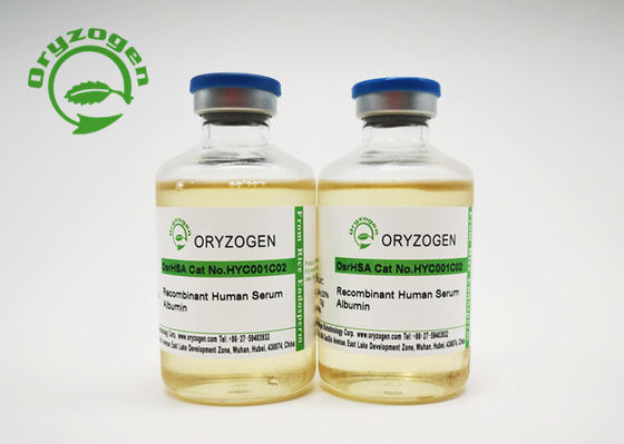 Recombinante Sativa del Oryza TIENE líquido para el embrión Cryopreservation