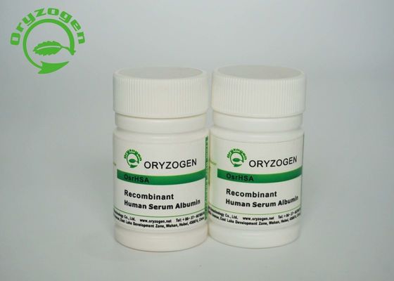 El arroz de Oryzogen derivó la albúmina de suero humana recombinante CAS 70024-90-7
