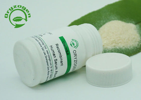 Albúmina de suero recombinante libre animal para la bio industria