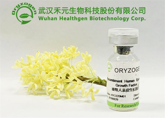 Origen de planta ningunos ingredientes cosméticos sin perfume irritantes de EGF