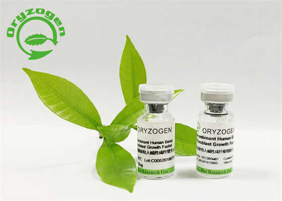 Los ingredientes cosméticos Sativa FGF básico del Oryza liofilizaron el polvo