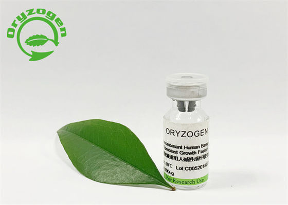 El Oryza insípido FGF básico Sativa de la pureza del 95% liofilizó el polvo