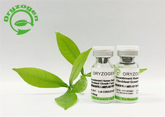 La planta derivó el factor de crecimiento humano del fibroblasto ISO9001 aprobado