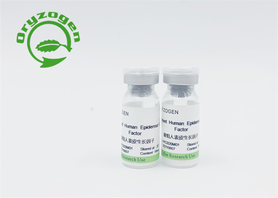 El bFGF recombinante de la proteína de EGF liofilizó el polvo